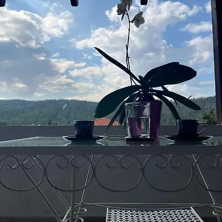 Apartment Attic With A View *