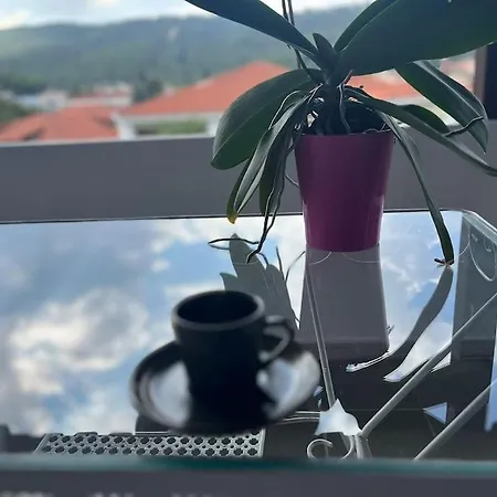 Attic With A View *